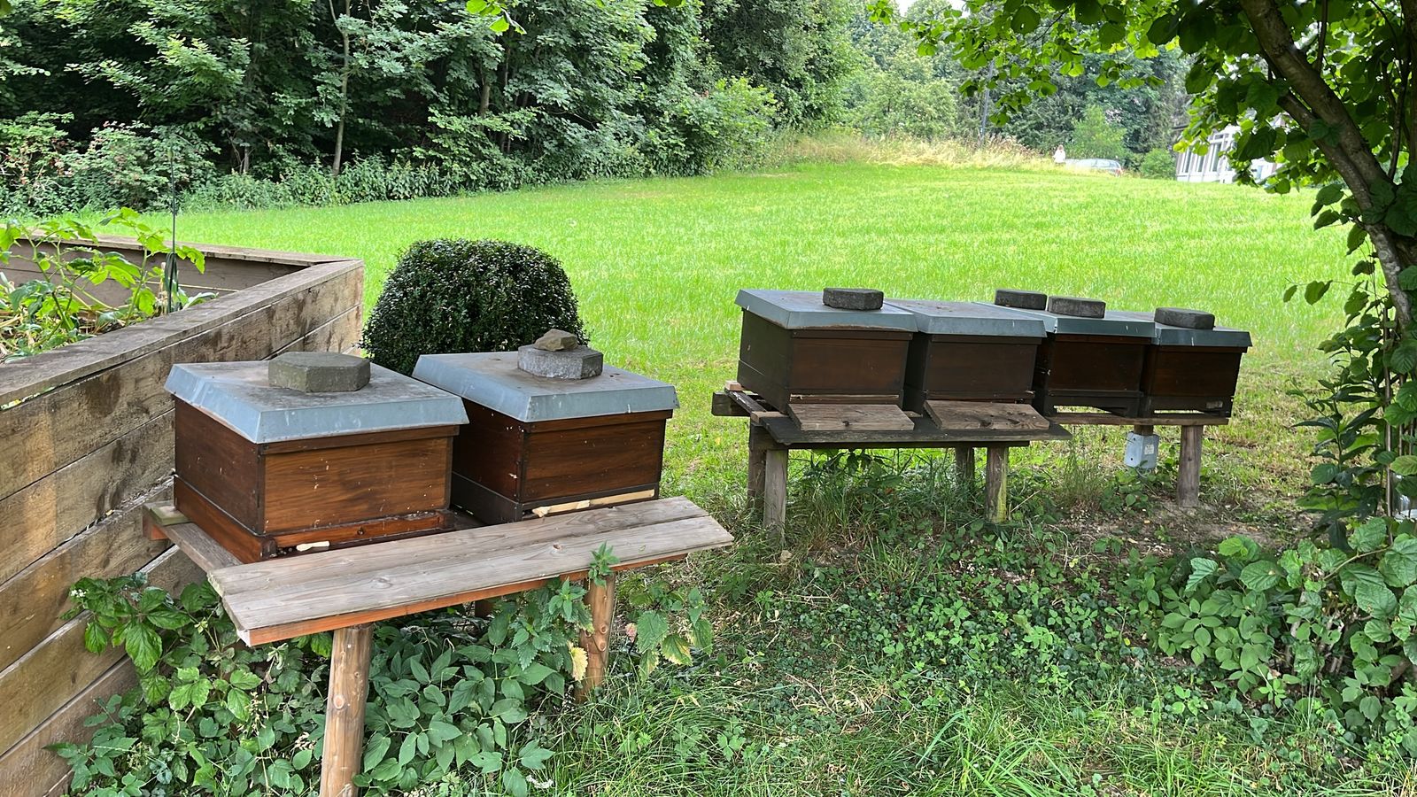 Bienenbeuten mit Zinkdeckeln auf zwei Holzständern vor einer grünen Wiese in Halver-Schwenke